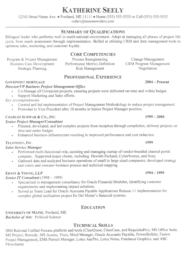 business executive sample resume